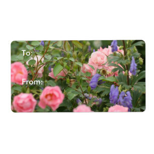 Roses roses dans un jardin Rose