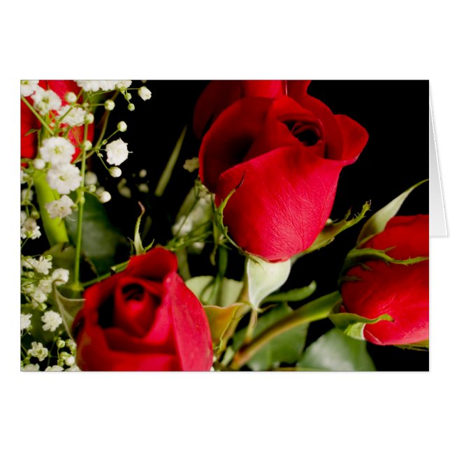 Roses rouges (Devant horizontal)