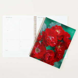 Roses rouges Pale Green Feuilles