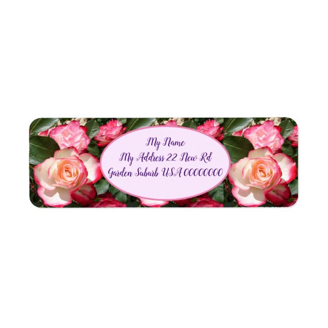Roses rouges Rose Fleur blanche Jardin Floral (Devant)