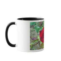 Roses rouges Valentines Jour Mug