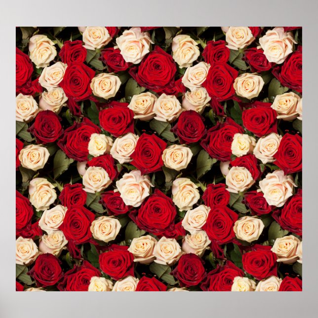 Roses, seamless, elegant background tile poster (Front)