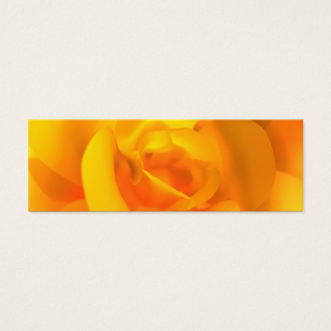 Roses Signets (Devant)
