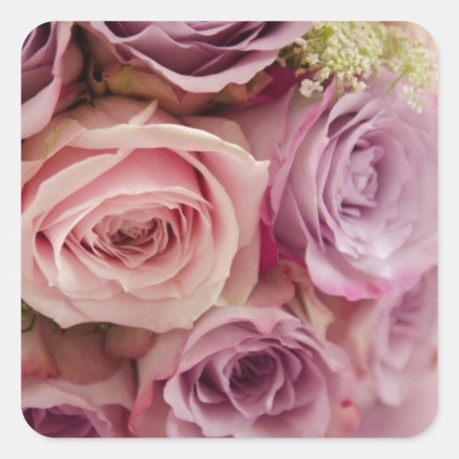 Roses Square Sticker (Front)