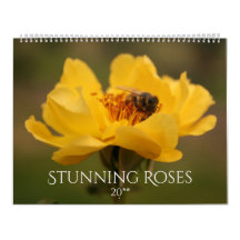 Roses Stunning Photography 2020