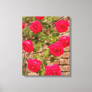 roses sur toile étirée