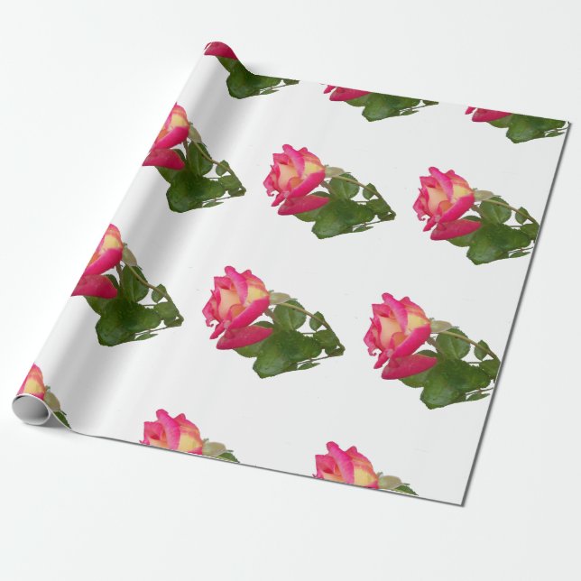 Roses tiled on wrapping paper (Unrolled)