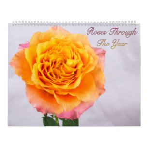 Roses tout au long de l'année Calendrier photo