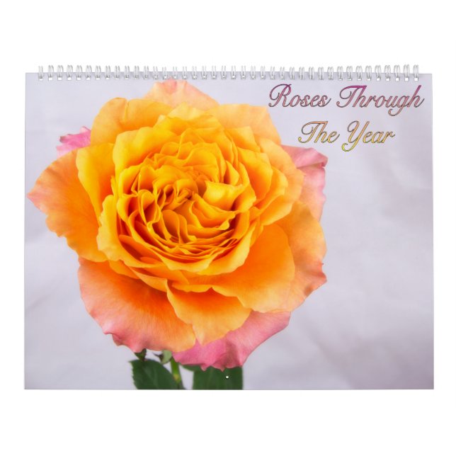 Roses tout au long de l'année Calendrier photo (Protection)
