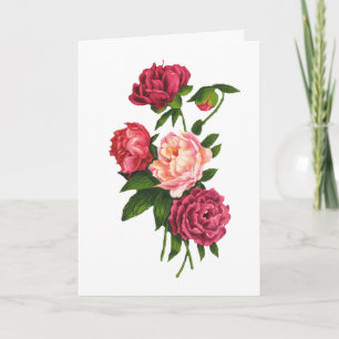 Roses Valentine's Day Card (Large Print)