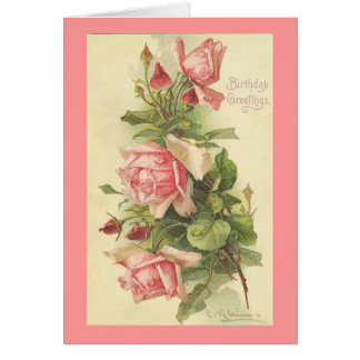 Roses vintages