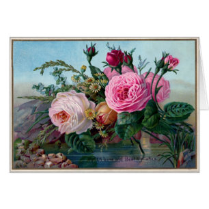 Roses vintages