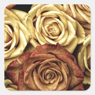 Roses yellow and red square sticker