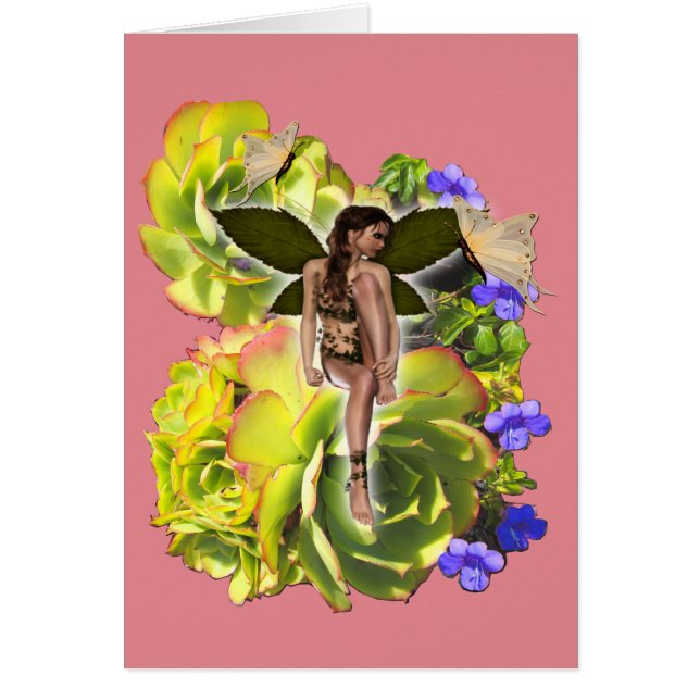 Rosette Succulent Visitors (Front)