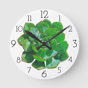 Rosette Succulent Wall Clock