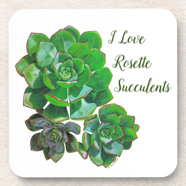 Rosette Succulents Plastic Coaster (Front)