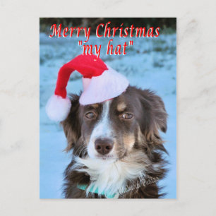 Rosie-CH7-Z - customize Holiday Postcard