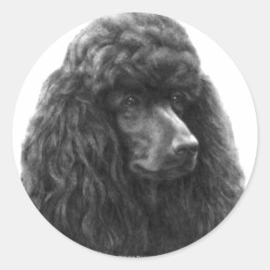 Rosie, Standard Poodle Classic Round Sticker