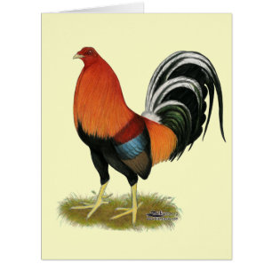 Roster de Gamecock Wheaten