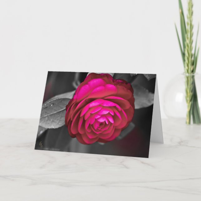 Rosy Camellia Lee Hiller Photography Card (Front)