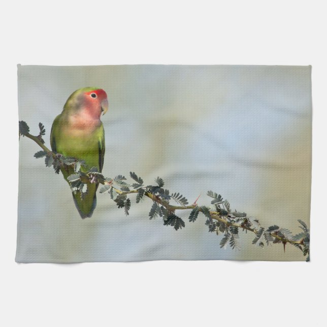 Rosy- faced love bird on a branch kitchen towel (Horizontal)