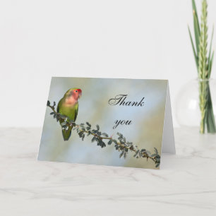 Rosy- faced love bird on a branch,Thank you. Thank You Card