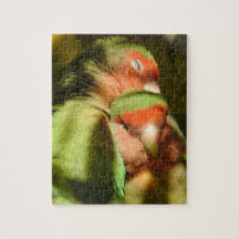Rosy Faced Lovebird Puzzle