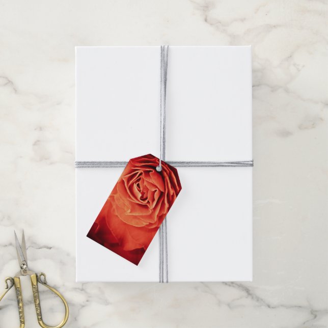 rosy living gift tags (With Twine)