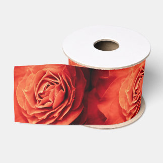 rosy living grosgrain ribbon