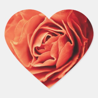 rosy living heart sticker