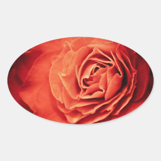 rosy living oval sticker