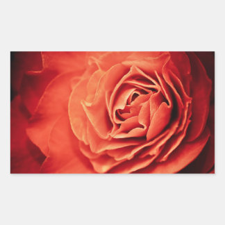 rosy living sticker