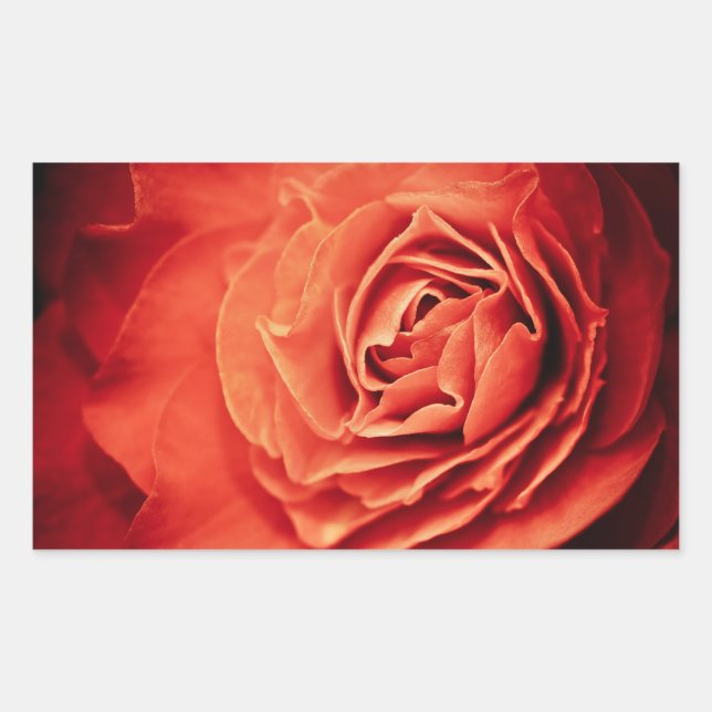rosy living sticker (Front)