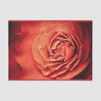 rosy living tissue paper