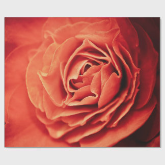 rosy living wrapping paper
