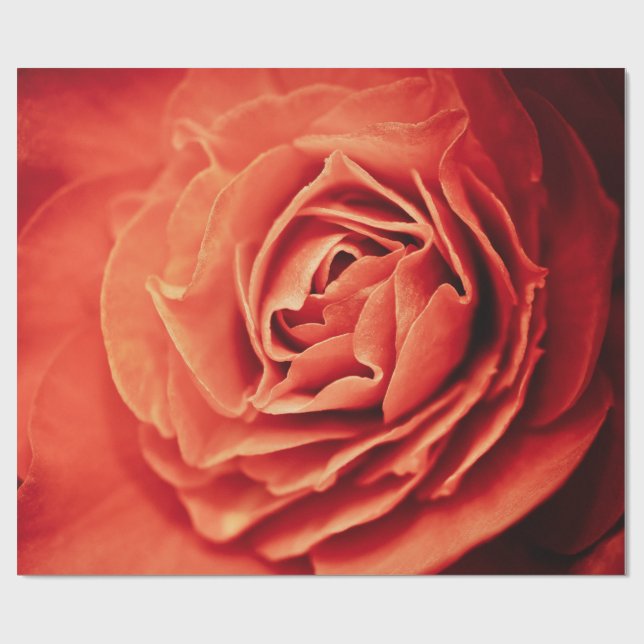 rosy living wrapping paper (Flat)