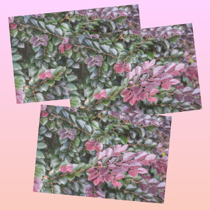 Rosy Purple Green Foliage  Botanical Photographic Tissue Paper