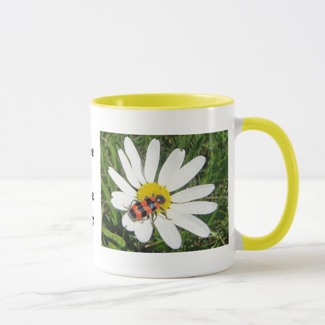 Rot-schwarzer Käfer auf weisser Margerite, Tasse (Droite)