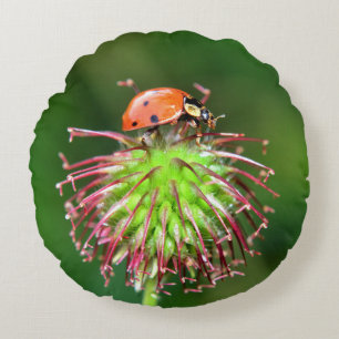 Roter Marienkäfer Round Pillow