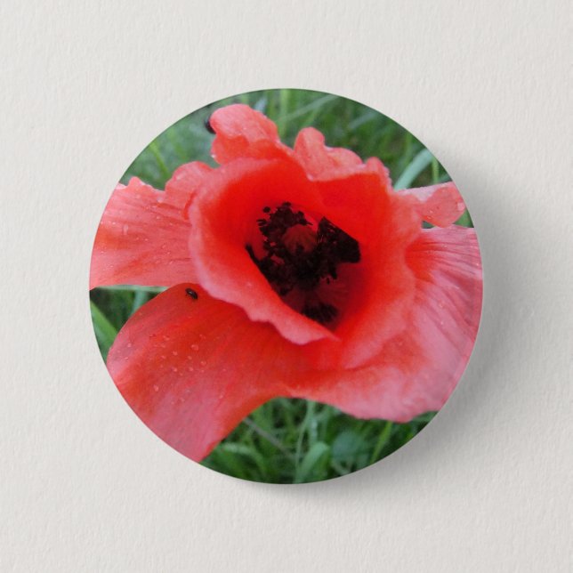 Roter Mohnblumenkelch 2 Inch Round Button (Front)