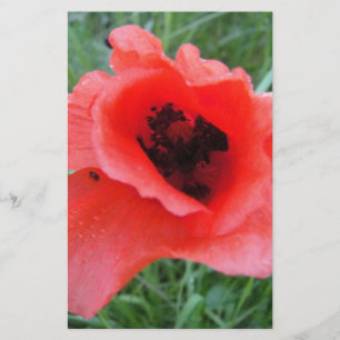 Roter Mohnblumenkelch Stationery