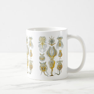 Rotifers Coffee Mug