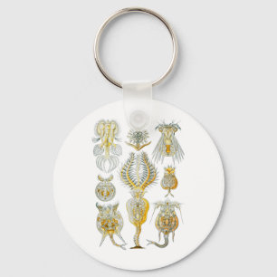Rotifers Keychain
