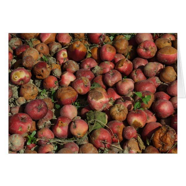 Rotten Apples (Front Horizontal)