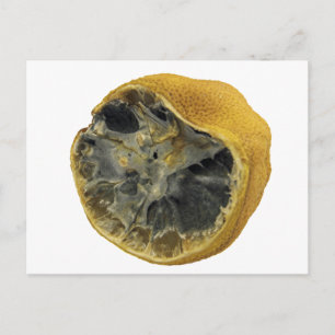 Rotten lemon postcard