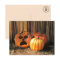 Rotten Pumpkins Halloween Postcard