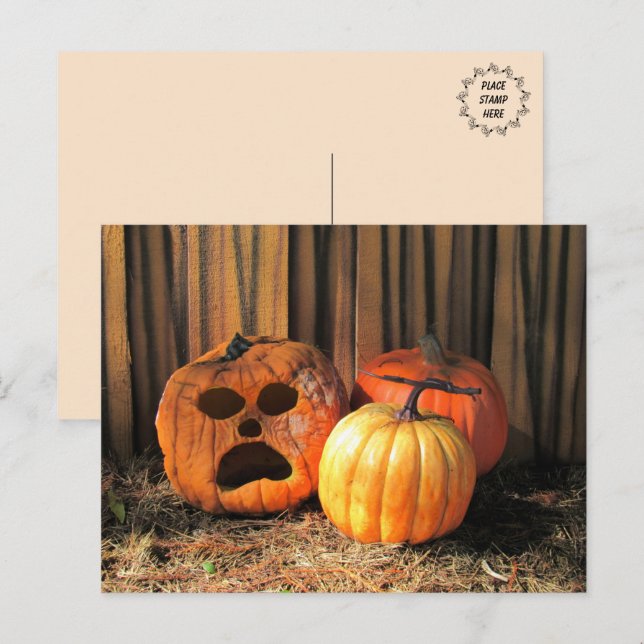 Rotten Pumpkins Halloween Postcard (Front/Back)
