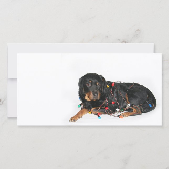 Rottie Christmas booboo Holiday Card (Front)