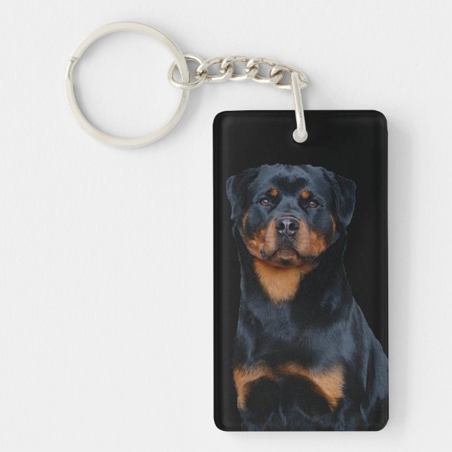Rottweiler  (Devant)