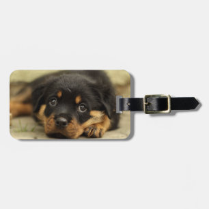 Rottweiler20150901 Luggage Tag